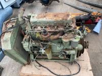 4 Zylinder Perkins Motor A4.270  MF 65 Nordrhein-Westfalen - Löhne Vorschau