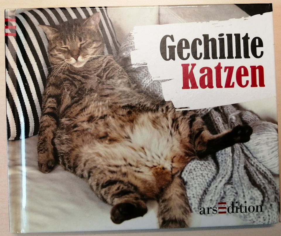 Gechillte Katzen - Lustiges Fotobuch für Katzenliebhaber in Winnenden