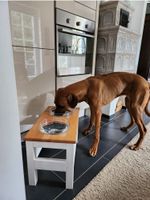 Hundebar Futterstation Rhodesien Ridgeback Niedersachsen - Ronnenberg Vorschau