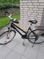 Damen Fahrrad Nordrhein-Westfalen - Steinheim Vorschau