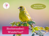 Hochsensibel! Wunderbar? Vortrag Mecklenburg-Vorpommern - Weitenhagen b Greifswald Vorschau