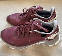 Salomon Alpha Cross 4 Gore Tex Stuttgart - Stuttgart-West Vorschau