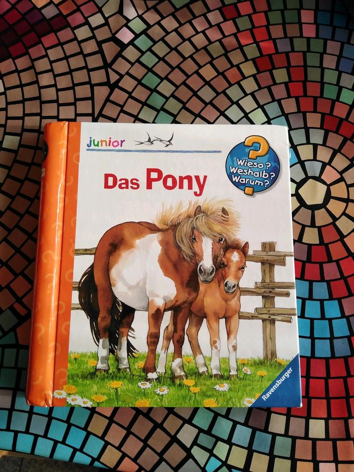 Das Pony Wieso? Weshalb? Warum? in Vaihingen an der Enz