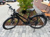 Rose Black Lava Damen Fahrrad Trekking Riemen NP 2000€ Nordrhein-Westfalen - Bocholt Vorschau