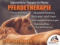 Pferdephysiotherapie, Blockaden, Pferdetherapie, Osteopath Wuppertal - Ronsdorf Vorschau