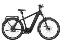 Riese und Müller "Charger4 GT rohloff" 750 Wh, Kiox300, RX-Chip Nordrhein-Westfalen - Soest Vorschau