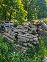 Getrocknetes Brennholz Niedersachsen - Lachendorf Vorschau