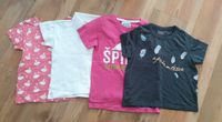 4 T-Shirts Gr.122/128 und 128/134 Sachsen - Ottendorf-Okrilla Vorschau