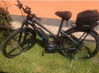 Centurion E-Bike, Größe s43 Westerwaldkreis - Halbs Vorschau