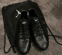Puma King Platinum SG Bayern - Erding Vorschau