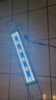 2x Aquarium Beleuchtung LED 60cm Bayern - Goldkronach Vorschau