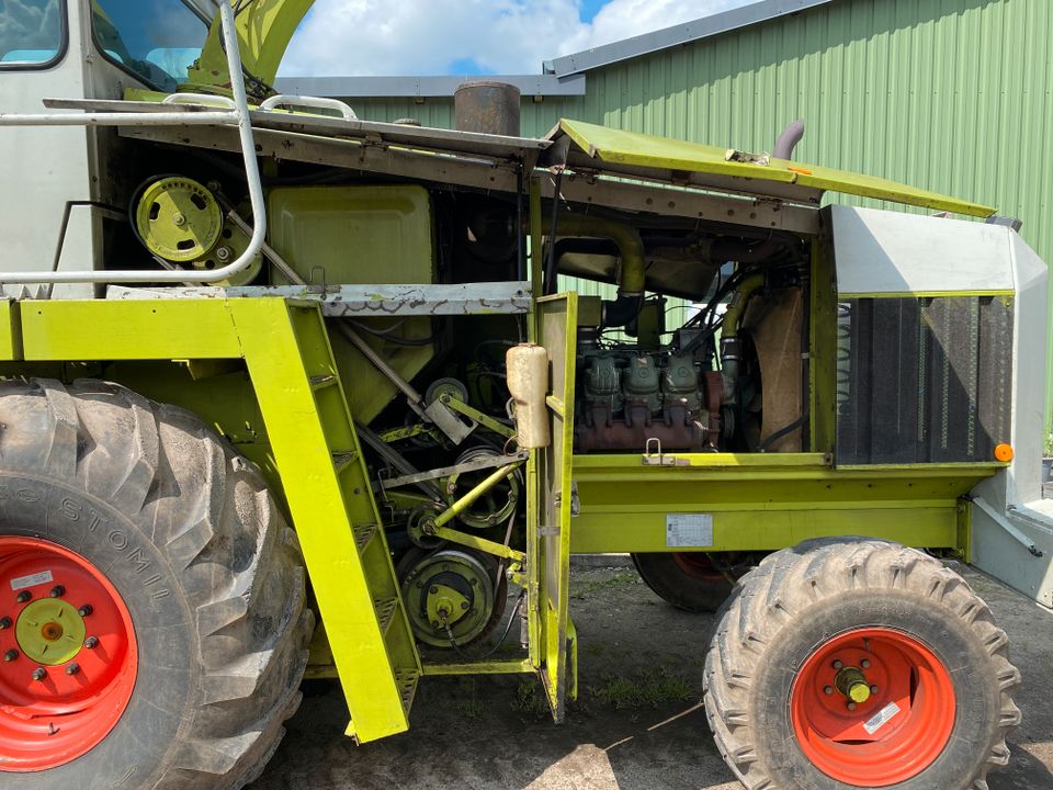 Maishäcksler / Feldhäcksler Claas Jaguar 680 mit MB OM 421 Motor in Neumünster