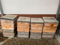 Dadant US Beuten 3x Honigraum+Rähmchen Weymouth-Kiefer Niedersachsen - Salzgitter Vorschau