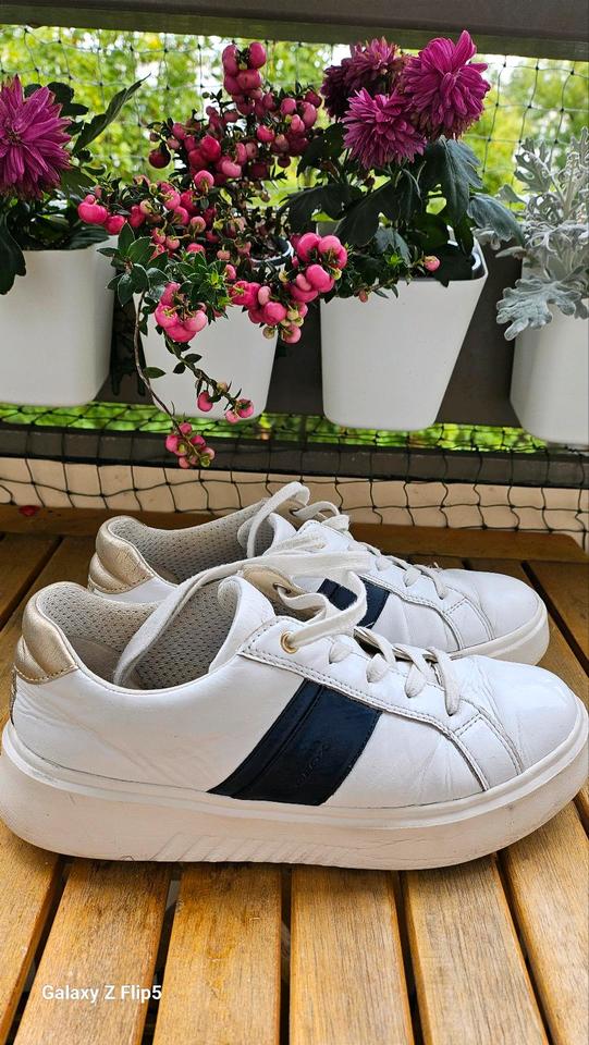 Damen Sneaker Geox Gr.39 in Dresden