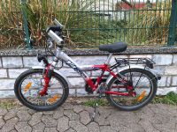 Kinderfahrrad 20 Zoll von Pegasus Hessen - Rockenberg Vorschau