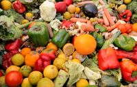 SUCHE Abfallreste Salat/Obst Gemüse für unsern freddy Baden-Württemberg - Ihringen Vorschau