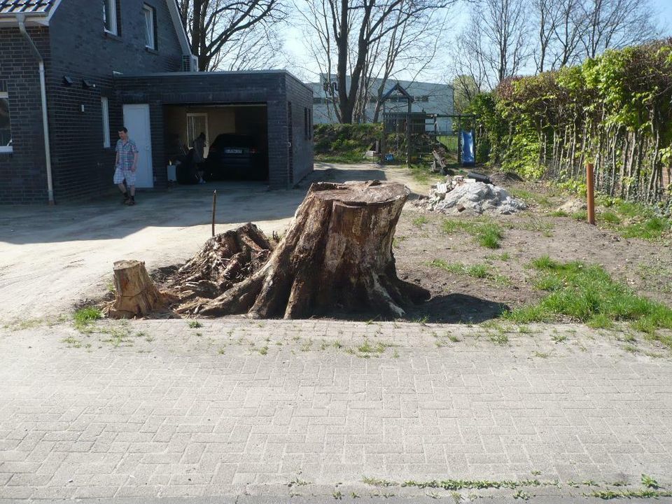 Stubbenfräsen, Wurzelfräsen Großraum Oldenburg / Bremen / Verden in Ganderkesee