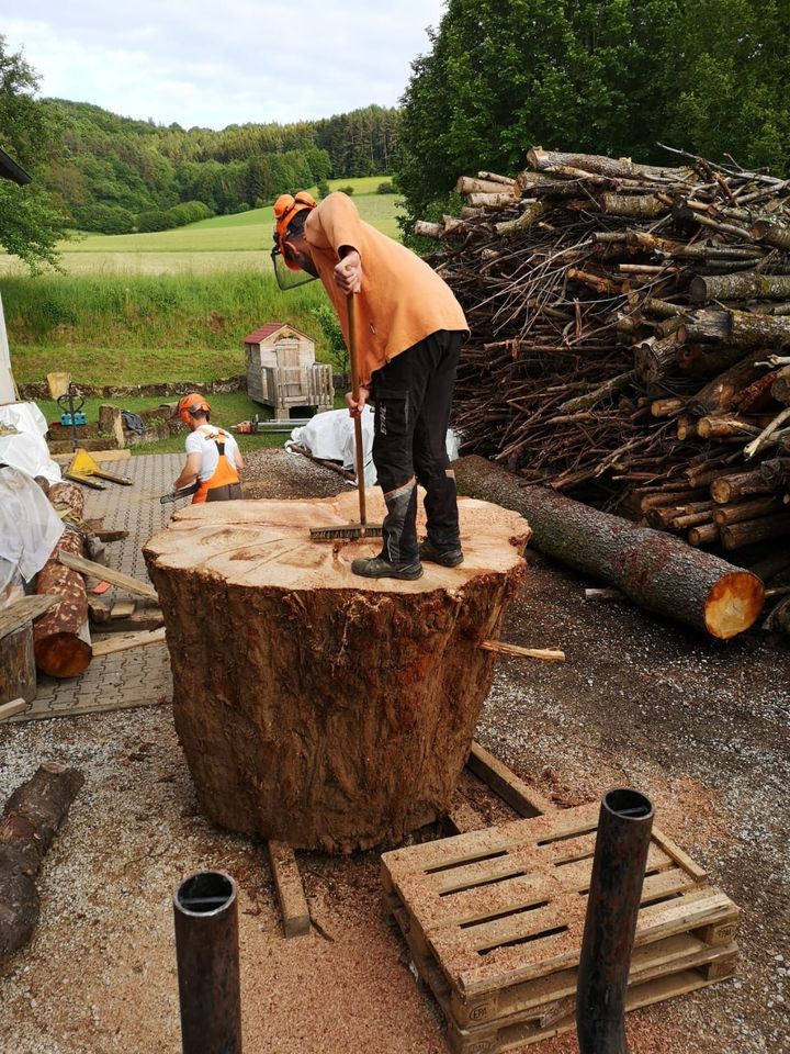 Mammut  XXL Baum Tisch Groß Küche Trocken in Pottenstein