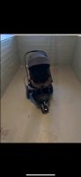 Quinny Kinderwagen mit Zubehör Nordrhein-Westfalen - Paderborn Vorschau