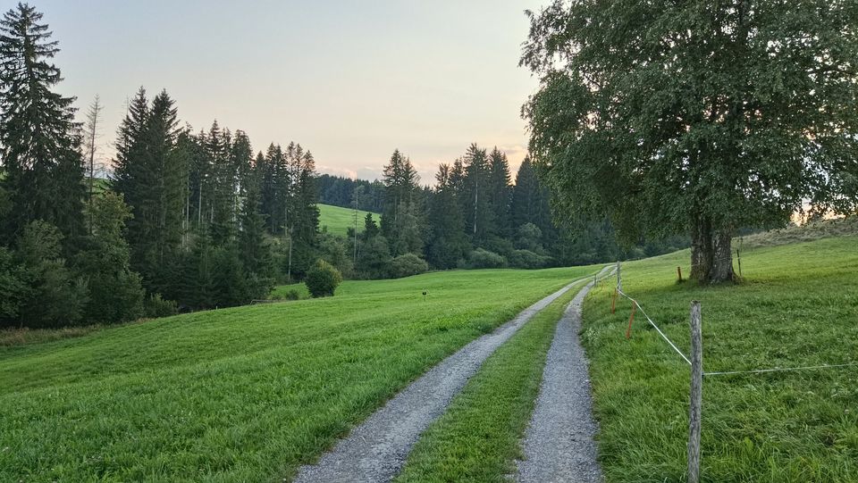 Landwirtschaftliche Fläche mit Hütte, Bachlauf, Freizeitcharakter in Lechbruck