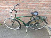 Gazelle Sky Drive Hollandrad Herrenrad Fahrrad 28 Zoll Aachen - Aachen-Brand Vorschau