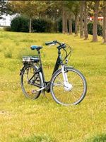 Damen E-Bike 28 Zoll Sachsen-Anhalt - Aschersleben Vorschau