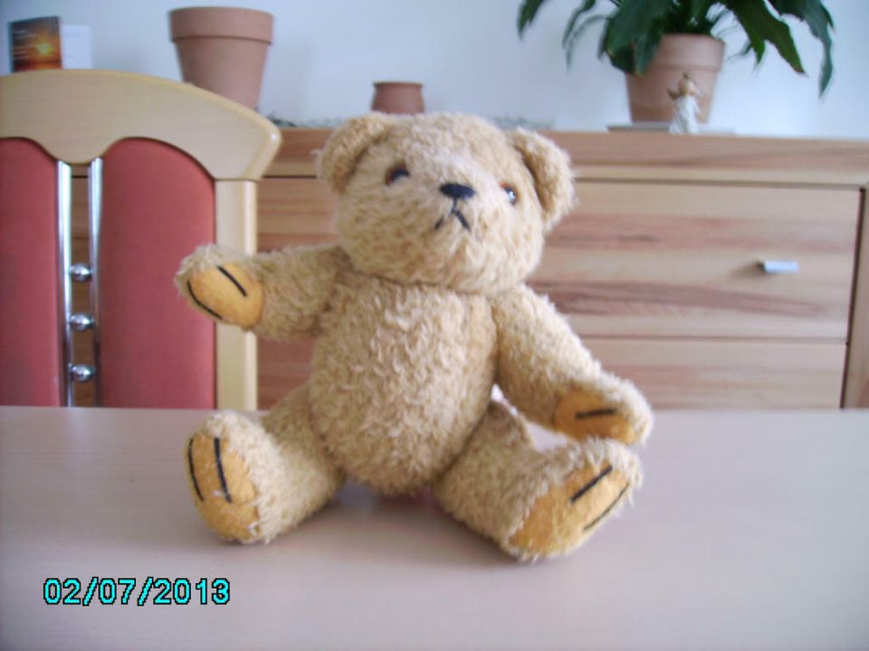 klassischer Teddy in Stefansberg