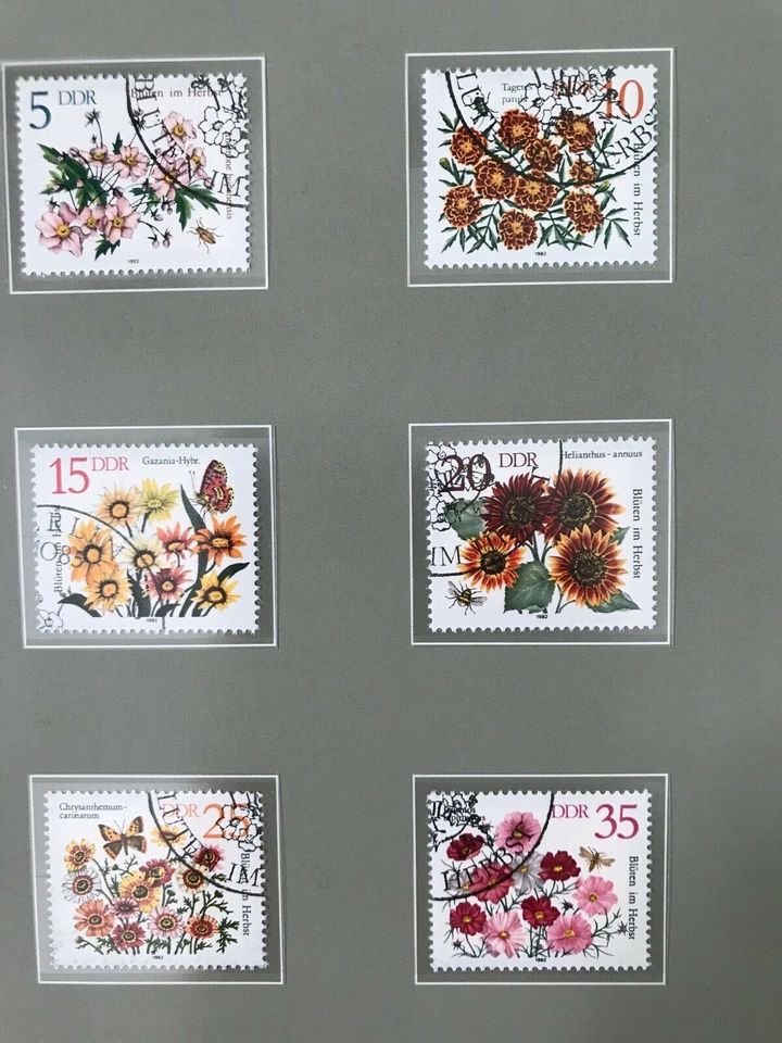 Briefmarkenserie Sondermarken DDR Herbstblumen 21.9.1982 in Wipperfürth