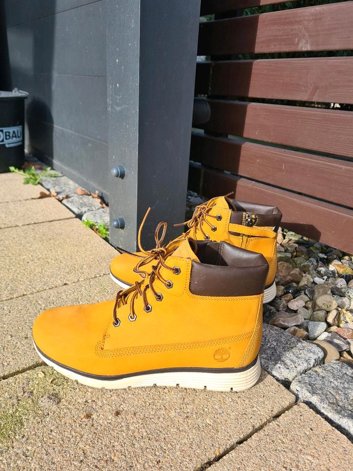 Timberland Junior Boots Gr. 39 in Hamburg