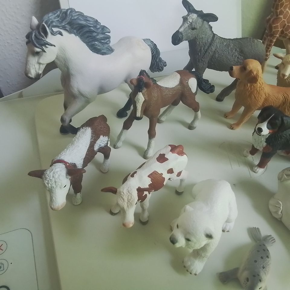 Figurensammlung UNSERE TIERE 15-teilig Kinderspass pur ! in Schwalbach