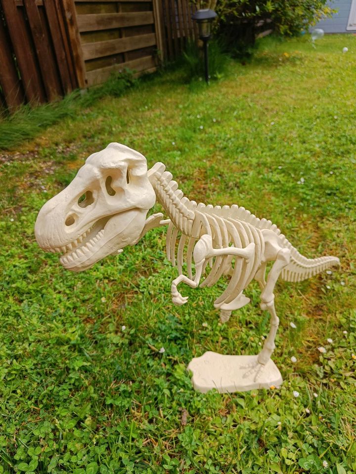 Dinosaurier Skelett T-Rex in Pulheim