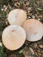 Holzscheiben Baumscheiben Esche 25-30 cm Niedersachsen - Dissen am Teutoburger Wald Vorschau