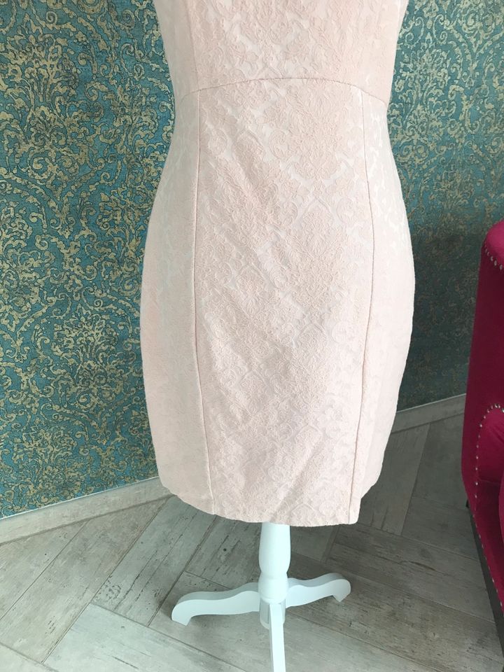 Kleid rosa rosé 38 Orsay in Oelsnitz / Vogtland