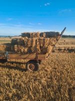 HD Ballen Stroh Thüringen - Langenwetzendorf Vorschau