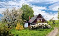kleines Haus zum Wohlfühlen gesucht Bayern - Regensburg Vorschau