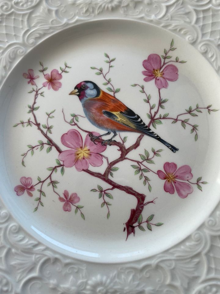 Unicorn Tableware Zierteller/Sammelteller Singvogel in Aurachtal