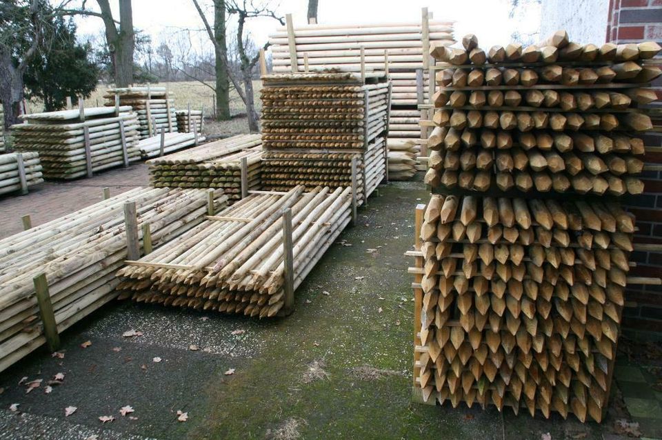 Baumpfähle - Zaunpfähle - Holzpfähle - 5 x 250 cm - imprägniert - in Wagenfeld