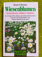 Wiesenblumen Baden-Württemberg - Steinen Vorschau