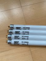 4x OSRAM HO 24W/865 T5 LSR Baden-Württemberg - Karlsruhe Vorschau