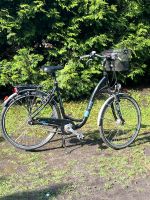 Damen Fahrrad Niedersachsen - Barßel Vorschau