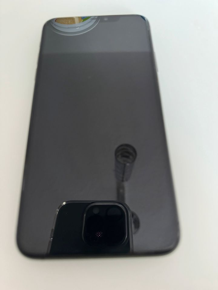 iPhone 11 Pro Max in Ahlsdorf (bei Lutherstadt Eisleben)