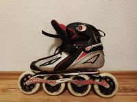 Inline-Sktates Baden-Württemberg - Freiburg im Breisgau Vorschau