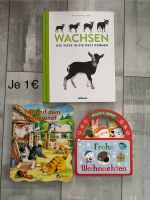 Bücher Tuffi auf dem Bauernhof Wachsen Frohe Weihnachten Mecklenburg-Vorpommern - Zinnowitz Vorschau