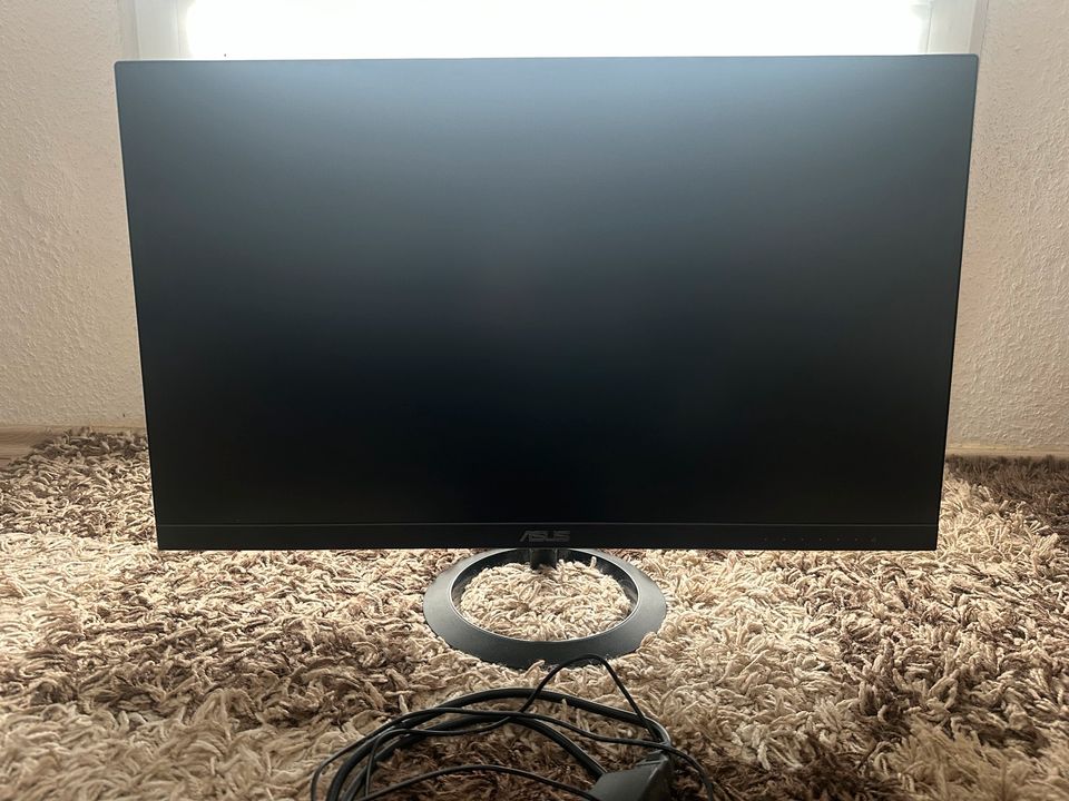 Asus Monitor in Jeßnitz