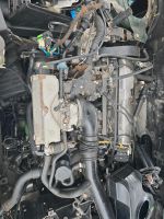 Citroen XM Y3  2.0i Motor mit 121Ps und Schaltgetriebe Nordrhein-Westfalen - Ahlen Vorschau