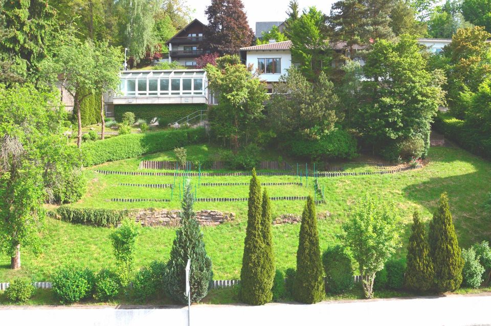 Bauplatz 736 m² in Altensteig MFH in zentraler Südhanglage in Altensteig