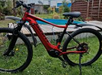 Verkaufe E-Bike von Giant Sachsen - Zwickau Vorschau