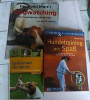 Spaßschule für Hunde Hundetraining Dogwatching Rheinland-Pfalz - Ransbach-Baumbach Vorschau