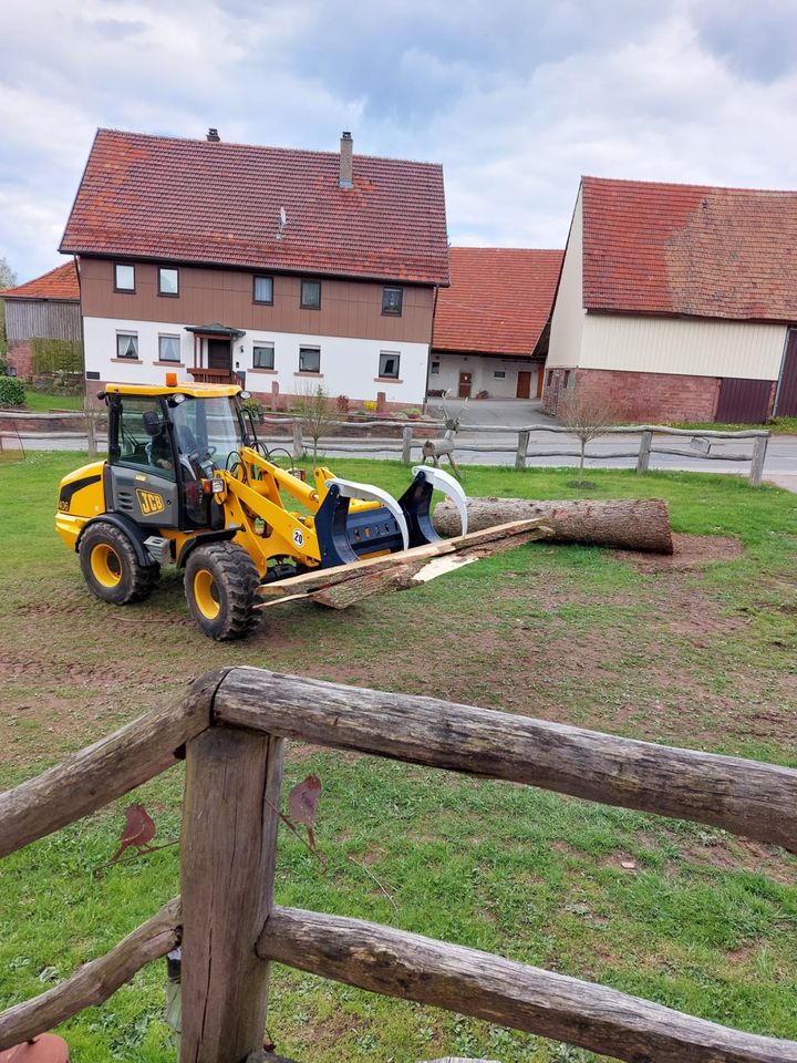 Stammgreifer Holzgreifer Reisigzange Brennholz Polterholz Baum in Allmendingen