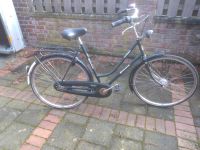 Gazelle Damenfahrrad 28" Nordrhein-Westfalen - Greven Vorschau